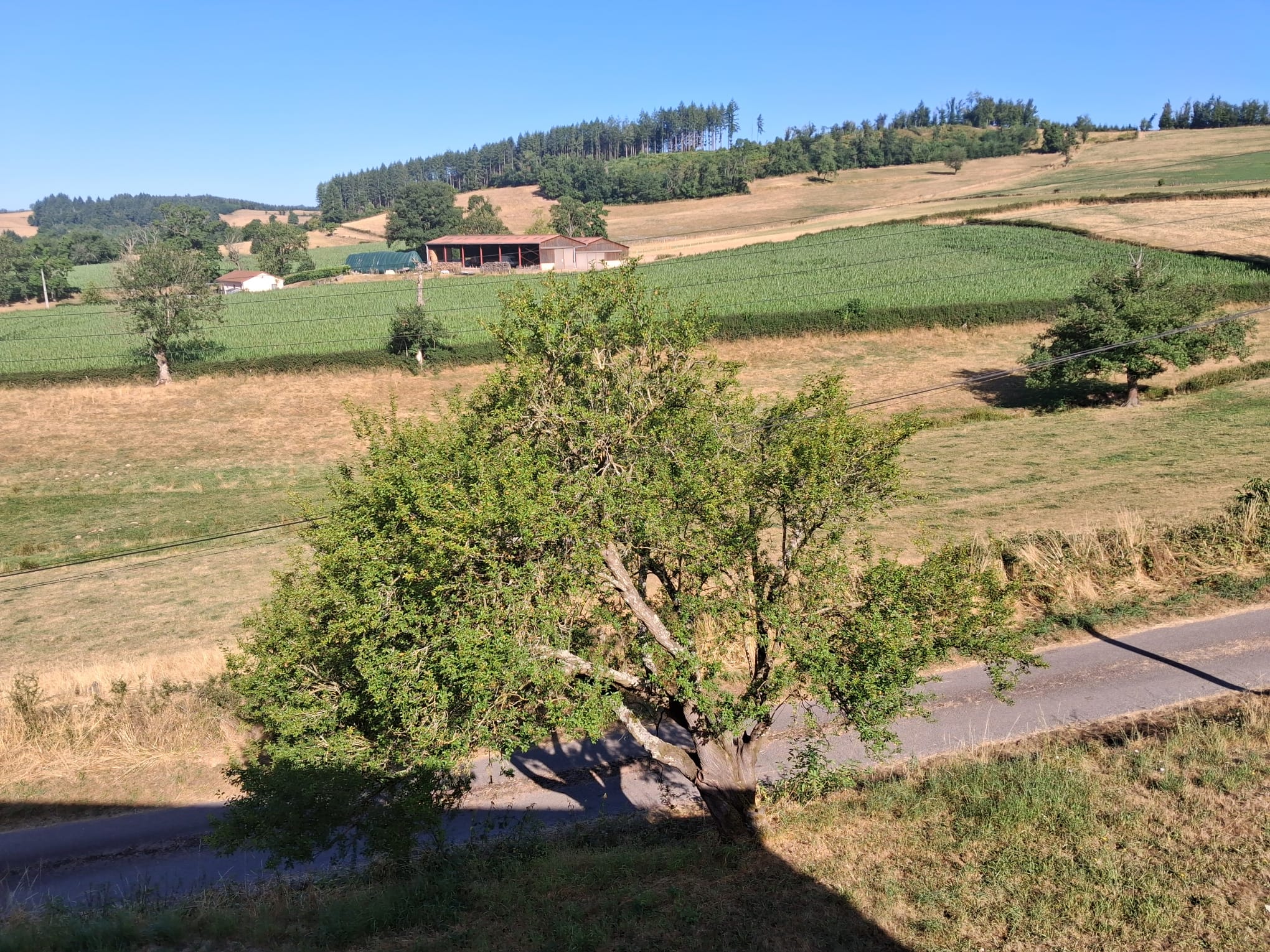 Vue extérieure des gîtes de Sophinette